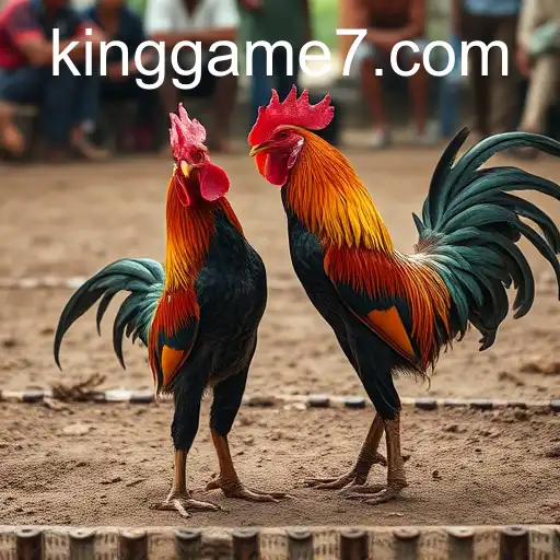 Exploring the Excitement of Sabong Games: A Dive into the King Game